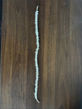 Ron Jon Cream Shell Chip Necklace